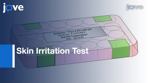 表皮モデルEpiDerm(EPI-200)による皮膚刺激性試験(SIT)Ⅰプロトコル(OECD TG439)のプレビュー