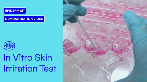 表皮モデルEpiDerm(EPI-200)を用いたin vitro皮膚刺激性試験(OECD TG439)
