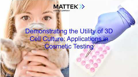 3次元細胞培養の有用性の実証:化粧品試験への応用
