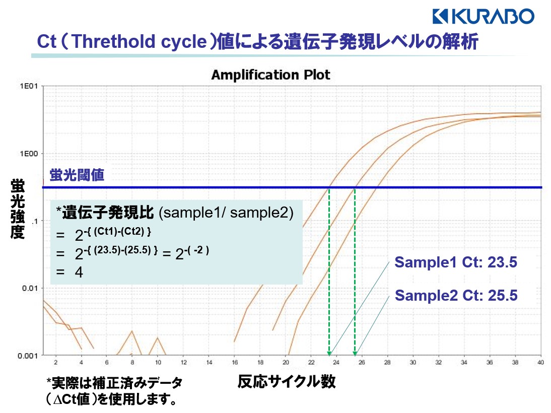 値 pcr Ct