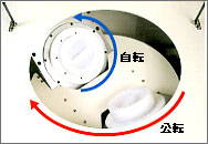 容器オプション