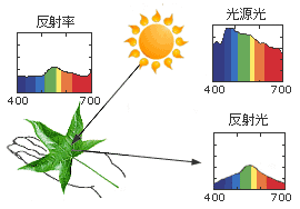 図3　反射光のできるまで