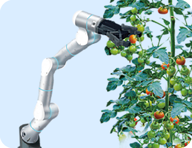 Agriculture