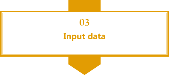 Input data