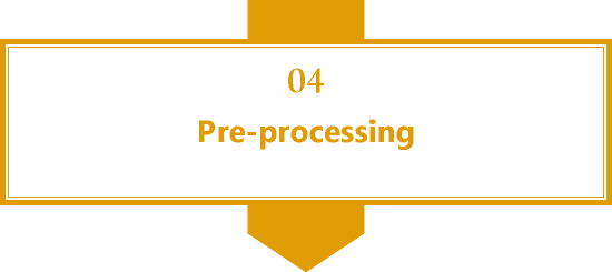 Pre-processing