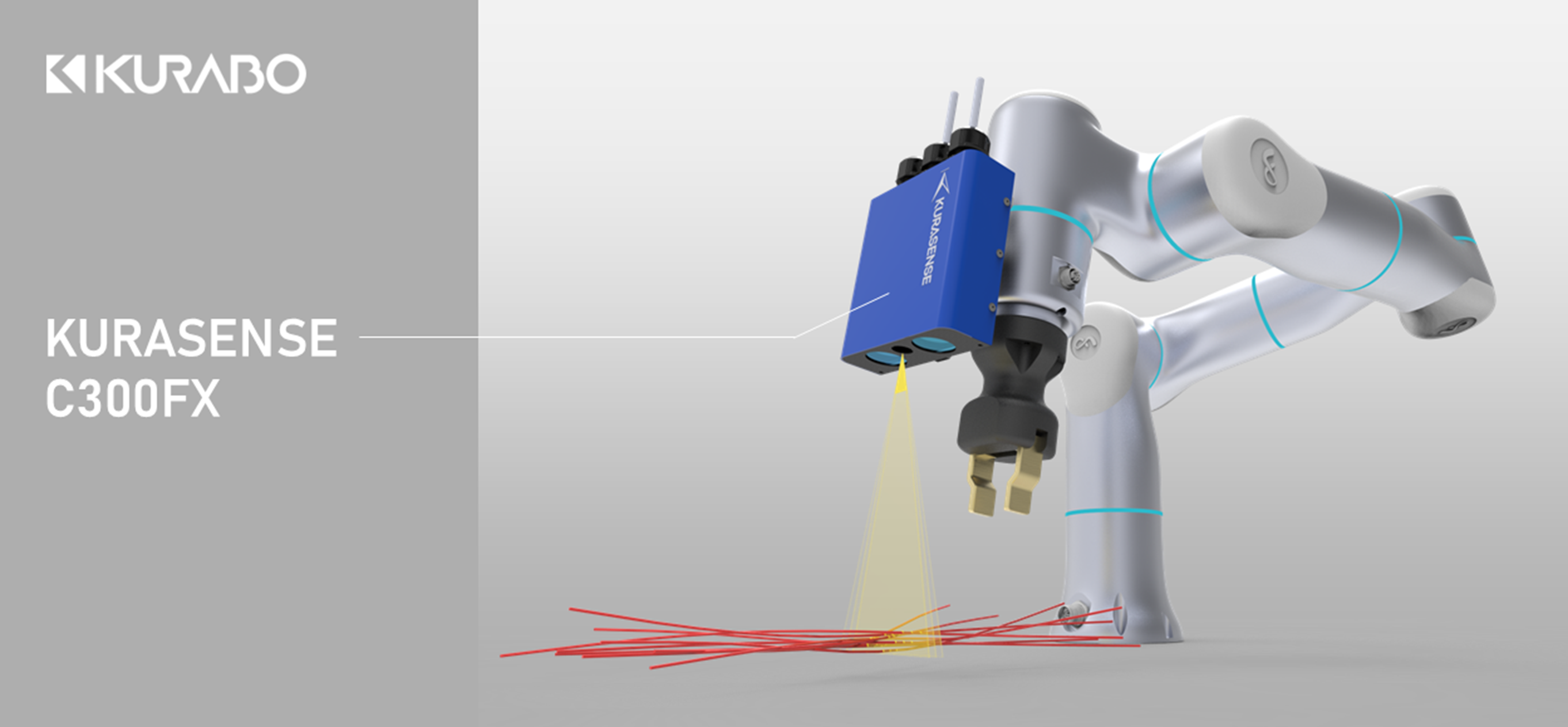 header_c300fx.png