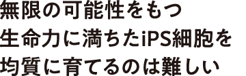 無限の可能性をもつ生命力に満ちたiPS細胞を均質に育てるのは難しい