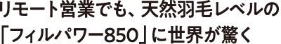 リモート営業でも、天然羽毛レベルの「フィルパワー850」に世界が驚く