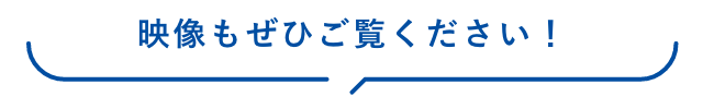 映像もぜひご覧ください！